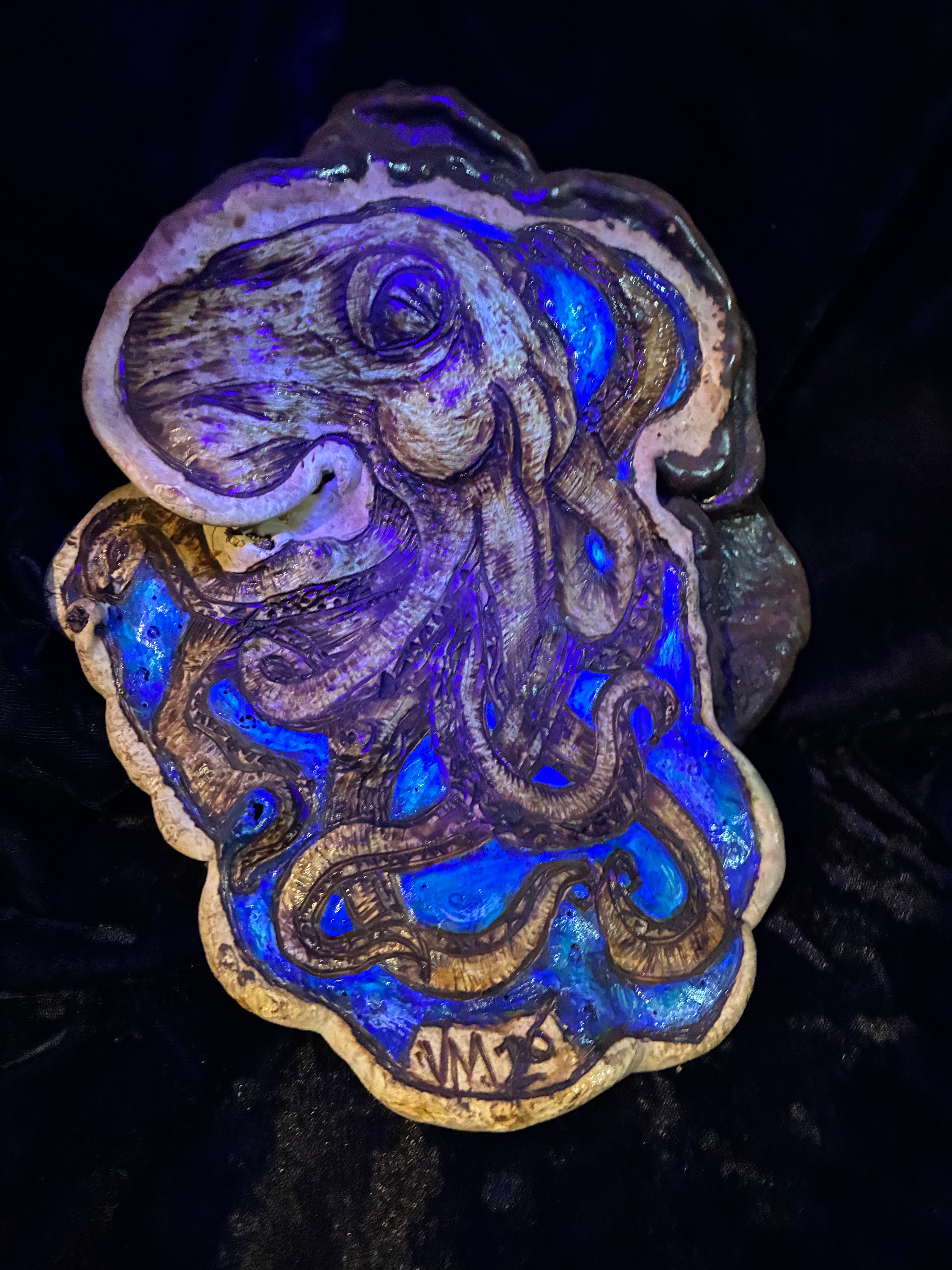 Octopus conk